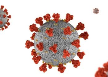 സംസ്ഥാനത്ത് 2560 പേര്‍ക്ക് കോവിഡ്  സ്ഥിരീകരിച്ചു