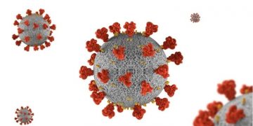 സംസ്ഥാനത്ത് 2560 പേര്‍ക്ക് കോവിഡ്  സ്ഥിരീകരിച്ചു