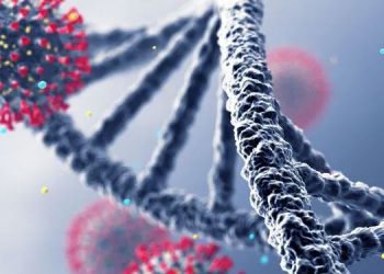 ഒമിക്രോണിന് പിന്നാലെ കൊവിഡിന്‍റെ പുതിയ വകഭേദം ; ആശങ്കയായി ഇഹു