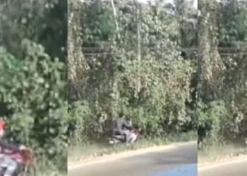 അമിതവേഗതയിലെത്തിയ ബൈക്ക് അപകടത്തിൽപ്പെട്ട് മൂന്ന് വിദ്യാർത്ഥികൾ മരിച്ചു