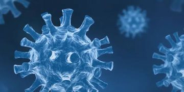 കൊവിഡ് ധനസഹായം‍ ;  രണ്ട് ദിവസത്തിനുള്ളിൽ തുക വിതരണം ചെയ്യണമെന്ന് ചീഫ് സെക്രട്ടറിയുടെ നിർദ്ദേശം