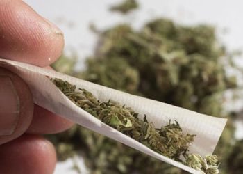 ട്രെയിനിൽ നിന്നും 27 കിലോ കഞ്ചാവ് പിടികൂടി ;  പ്രായപൂ‍ർത്തിയാവാത്ത പെൺകുട്ടിയടക്കം മൂന്ന് പേർ അറസ്റ്റിൽ