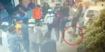 തട്ടിക്കൊണ്ട് പോകാനെത്തിയവരിൽ നിന്ന് ഉടമയെ രക്ഷിച്ച് നായ് – വീഡിയോ