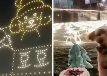 വളർത്തുനായയുടെ ജന്മദിനം ആഘോഷിക്കാൻ യുവതി ചെലവാക്കിയത് 11 ലക്ഷം രൂപ