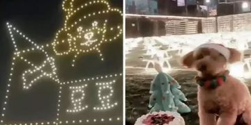 വളർത്തുനായയുടെ ജന്മദിനം ആഘോഷിക്കാൻ യുവതി ചെലവാക്കിയത് 11 ലക്ഷം രൂപ