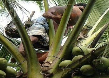 വൈക്കം കള്ളുഷാപ്പ് സമരം : സര്ക്കാര് അടിയന്തിരമായി ഇടപെടണമെന്ന് യൂണിയനുകള്