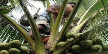 വൈക്കം കള്ളുഷാപ്പ് സമരം : സര്‍ക്കാര്‍ അടിയന്തിരമായി ഇടപെടണമെന്ന് യൂണിയനുകള്‍