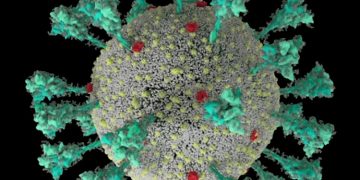 പുതിയ വകഭേദമില്ലെങ്കില്‍ മാര്‍ച്ചോടെ കോവിഡിന് അവസാനമാകും ;  ഐസിഎംആര്‍ ശാസ്ത്രജ്ഞന്‍