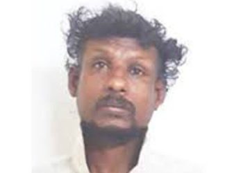 മയിലിനെ കൊന്ന് കറിവെച്ചതിന് ആന്ധ്രാ സ്വദേശി അറസ്റ്റില്‍ ; രണ്ടുപേര്‍ ഓടിരക്ഷപ്പെട്ടു