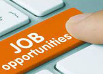 സംസ്ഥാന ഐ.ടി സെല്ലിൽ സിസ്റ്റം അഡ്മിനിസ്‌ട്രേറ്റർ ഒഴിവ് ; അഭിമുഖം ജനുവരി 12 ന്