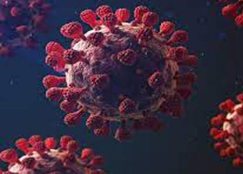 മഹാരാഷ്ട്രയിലെ 10 മന്ത്രിമാര്‍ക്കും 20-ലേറെ എംഎല്‍എമാര്‍ക്കും കോവിഡ്