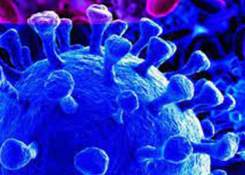 കോവിഡിന്റെ പുതു വകഭേദമാണോ ഫ്ലൊറോണ? അറിയാം ലക്ഷണങ്ങളും രോഗതീവ്രതയും