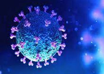 കോവിഡ് ചികിത്സയിൽ പുതിയ കണ്ടെത്തലുമായി മലയാളി ഗവേഷകർ ; മരണകാരണം കണ്ടെത്താനായതു നിർണായക വഴിത്തിരിവ്