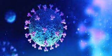 കോവിഡ് ചികിത്സയിൽ പുതിയ കണ്ടെത്തലുമായി മലയാളി ഗവേഷകർ ; മരണകാരണം കണ്ടെത്താനായതു നിർണായക വഴിത്തിരിവ്