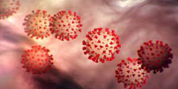 ഡല്‍ഹിയില്‍ അതിവേഗം വ്യാപിച്ച്‌ കോവിഡ് ; ആയിരത്തോളം പോലിസുകാര്‍ക്ക് രോഗം സ്ഥിരീകരിച്ചു