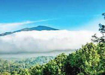 മലനിരകളെ പൂർണമായി മറച്ച് കോട്ടയായി മഞ്ഞ് ; നിറ കാഴ്ചയൊരുക്കി മറയൂരും കാന്തല്ലൂരും