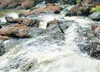 എണ്ണപ്പനത്തോട്ടത്തിന് നടുവിൽ ചെറുതും വലുതുമായ വെള്ളച്ചാട്ടങ്ങൾ ;  ഈ കാഴ്ച  ഇവിടെ മാത്രം