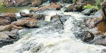 എണ്ണപ്പനത്തോട്ടത്തിന് നടുവിൽ ചെറുതും വലുതുമായ വെള്ളച്ചാട്ടങ്ങൾ ;  ഈ കാഴ്ച  ഇവിടെ മാത്രം