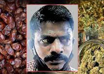 ഈന്തപ്പഴ പാക്കറ്റിന് കഞ്ചാവിന്റെ മണം ;  ഉദ്യോഗസ്ഥർ മുഴുവൻ കവറും മാറ്റി ,  കിട്ടിയത് 8 കിലോ കഞ്ചാവ്