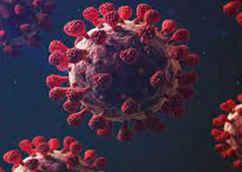 ഇടുക്കി ജില്ലയില്‍ ഇന്ന് 462 പേര്‍ക്ക്  കോവിഡ്  സ്ഥിരീകരിച്ചു