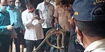 ഹൈക്കോടതി ജഡ്ജിയുടെ ചേംബറിൽ പാമ്പ്