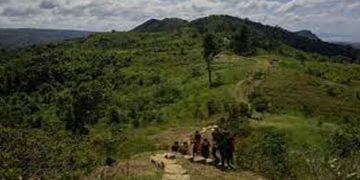 കഴിഞ്ഞ രണ്ട് വര്‍ഷത്തിനിടെ രാജ്യത്തെ വനവിസ്തൃതിയില്‍ വന്‍ വര്‍ധനവ്