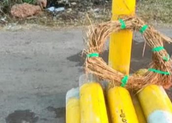 സില്‍വര്‍ ലൈനിനെതിരെ വീണ്ടും പ്രതിഷേധം ; സര്‍വേ കല്ല് പിഴുത് റീത്ത് വച്ചു