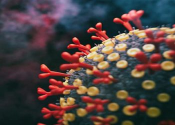 അതീവജാഗ്രതയില്‍ കേരളം ; ടിപിആര്‍ 10 ആയാല്‍ ഒമിക്രോണ്‍ തരംഗമെന്ന് വിദഗ്ധര്‍