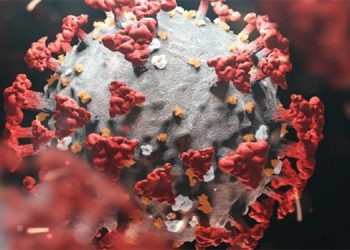 രാജ്യത്ത് ഒമിക്രോണ്‍ ബാധിതരുടെ എണ്ണം കൂടുന്നു ; ആശങ്ക