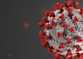 സൗദി അറേബ്യയിൽ ഇന്ന് 3460 പേർക്ക് കൊവിഡ് സ്ഥിരീകരിച്ചു  ;   843 പേർക്ക് രോഗമുക്തി