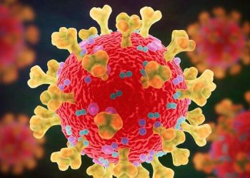 ഒമിക്രോൺ തരംഗം : ‘ ആന്റിജൻ പരിശോധനകൾ പുനരാരംഭിക്കണം ‘ ; നിർദ്ദേശങ്ങളുമായി കെജിഎംസിടിഎ