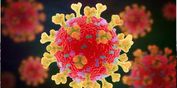 ഒമിക്രോൺ തരംഗം :  ‘ ആന്റിജൻ പരിശോധനകൾ പുനരാരംഭിക്കണം ‘  ;  നിർദ്ദേശങ്ങളുമായി കെജിഎംസിടിഎ