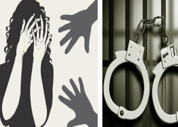 88 കാരിയെ പീഡിപ്പിക്കാന് ശ്രമം ; കോട്ടയത്ത് 20-കാരന് അറസ്റ്റില്