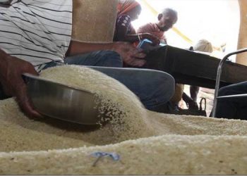 എല്ലാ റേഷന്‍ കാര്‍ഡിനും പച്ചരി, പുഴുക്കലരി 50:50 അനുപാതത്തില്‍ നല്‍കാന്‍ തീരുമാനം