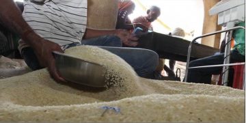 എല്ലാ റേഷന്‍ കാര്‍ഡിനും പച്ചരി, പുഴുക്കലരി 50:50 അനുപാതത്തില്‍ നല്‍കാന്‍ തീരുമാനം