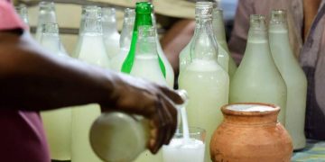 കള്ളുഷാപ്പ് നടത്തിപ്പ് ആദ്യഘട്ടത്തില്‍ ഇല്ല ; ടോഡി ബോര്‍ഡ് പ്രവര്‍ത്തനം ഏപ്രിലോടെ