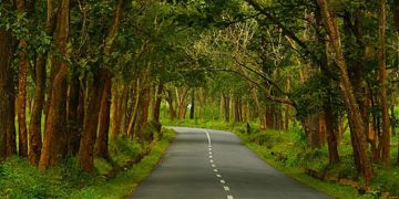 ബംഗളൂരുവിലേക്കുള്ള ദേശീയപാത 948ൽ രാത്രിയാത്ര നിരോധനം :  ബി.ആർ.ടി കടുവ സങ്കേതത്തിലൂടെയുള്ള പാതകളും അടക്കും