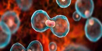 അടുത്ത 25 വര്‍ഷത്തിനുള്ളില്‍ കാന്‍സര്‍ മരണങ്ങള്‍ 50 ശതമാനം കുറയ്ക്കാനുള്ള പദ്ധതിയുമായി അമേരിക്ക