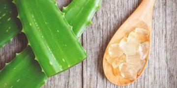 മുഖകാന്തി കൂട്ടാൻ കറ്റാർവാഴ കൊണ്ടുള്ള ഫേസ് പാക്കുകൾ