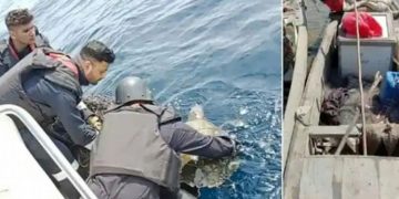 ഗുജറാത്ത് തീരത്ത് പാക്ക് ബോട്ടുകൾ കണ്ടെത്തിയ സംഭവം ; പാക് സ്വദേശികള്‍ പിടിയില്‍