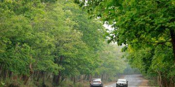 കര്‍ണാടകയില്‍ റിസര്‍വ് ഫോറസ്റ്റുകള്‍ ട്രീ പാര്‍ക്കുകളായി പരിവര്‍ത്തനം ചെയ്യുന്നു