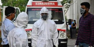 ഇടുക്കി ജില്ലയില്‍ 96 പേര്‍ക്ക് കൂടി കോവിഡ് സ്ഥിരീകരിച്ചു