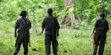 കണ്ണൂര്‍ കൊട്ടിയൂരില്‍ മാവോയിസ്റ്റുകളെ കണ്ടെന്ന് വനംവകുപ്പ് അധികൃതര്‍