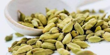 ഏലയ്ക്ക കഴിച്ചാലുള്ള ആരോ​ഗ്യ​ഗുണങ്ങൾ