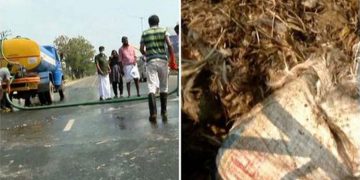 കൊച്ചി ദേശീയപാതയിൽ കോഴിയുടെ അവശിഷ്ടങ്ങള്‍ ചിതറിത്തെറിച്ച നിലയില്‍ ;  പോലീസ് അന്വേഷണം