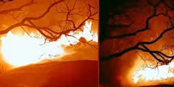 ശനിയാഴ്ച പടര്‍ന്നു പിടിച്ച കാട്ടു തീ ഇനിയും അണക്കാനായില്ല ; അട്ടപ്പളത്ത് തീ മലമുകളിലേക്ക് വ്യാപിക്കുന്നു