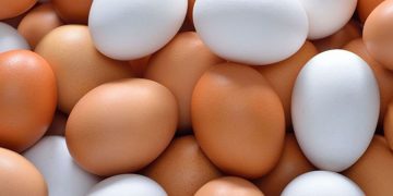 മിന്നുന്നതെല്ലാം പൊന്നല്ല , അതുപോലെ ബ്രൗണ്‍ മുട്ടകളെല്ലാം നാടനുമല്ല