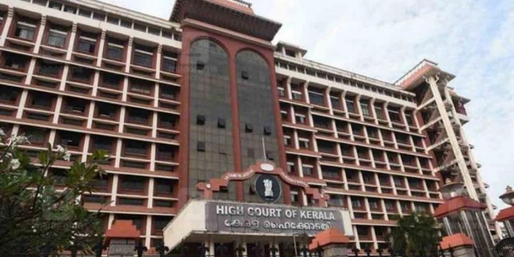 ഇടുക്കി എയർസ്ട്രിപ്: വനം, വന്യജീവി ആവാസ വ്യവസ്ഥയ്ക്ക് കോട്ടം തട്ടില്ലെന്ന് എൻസിസി