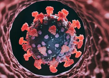 കോവിഡ് വർധിക്കുന്നു ; ഡൽഹിയിൽ ജാഗ്രത ; മുംബൈ നഗരത്തിലും കോവിഡ് കേസുകൾ ഉയരുന്നു