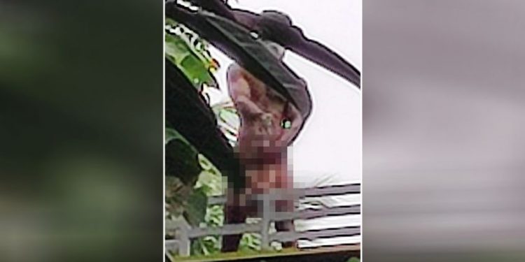 കുഞ്ഞിന്റെ കഴുത്തിൽ കത്തിവച്ച് വീടിനു മുകളിൽ പിതാവ്; അഞ്ചര മണിക്കൂർ പരാക്രമം